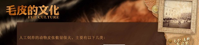 哈爾濱森林博物館展廳觸摸屏軟件查詢系統